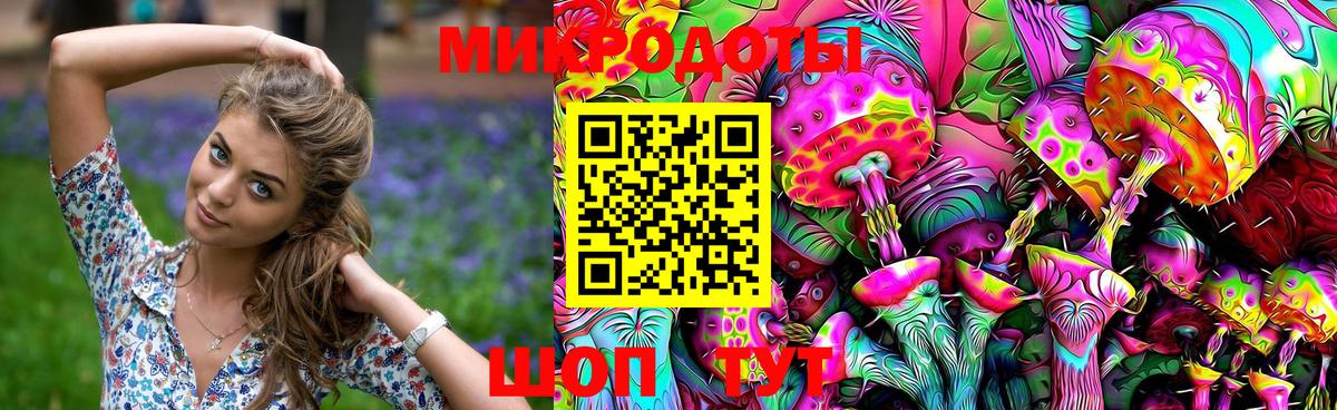 Галлюциногенные грибы Psilocybe Прохладный