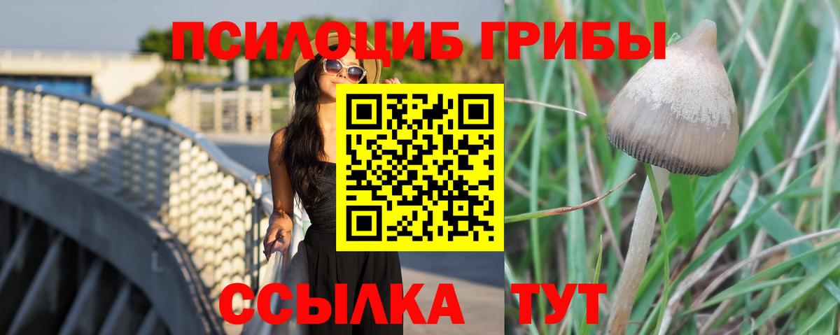 Галлюциногенные грибы мицелий  Вход с VPN  Прохладный 